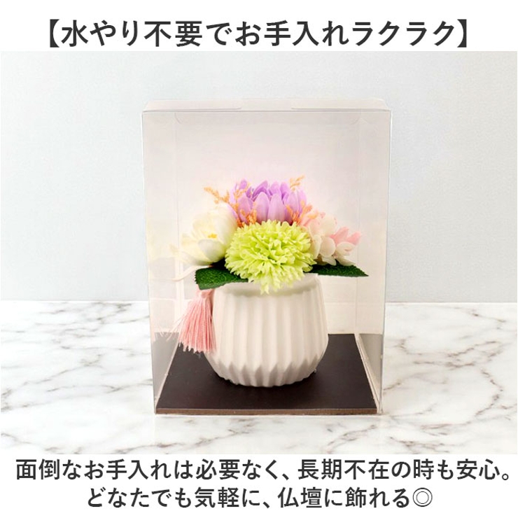 ルミエール・デュ・クール | BACKYARD FAMILY | 詳細画像5 