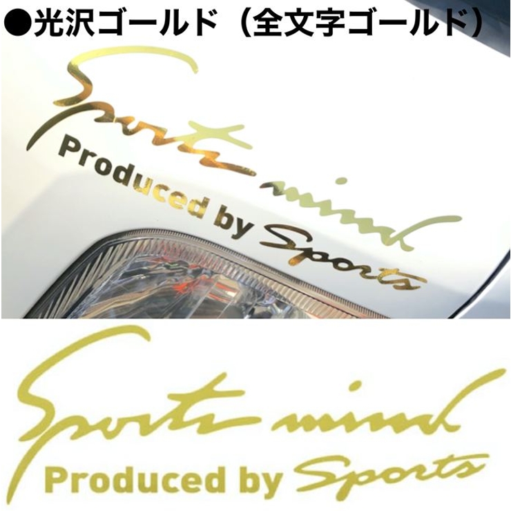 Sport mind スポーツマインド 車 ステッカー Mサイズ | BACKYARD FAMILY | 詳細画像9 