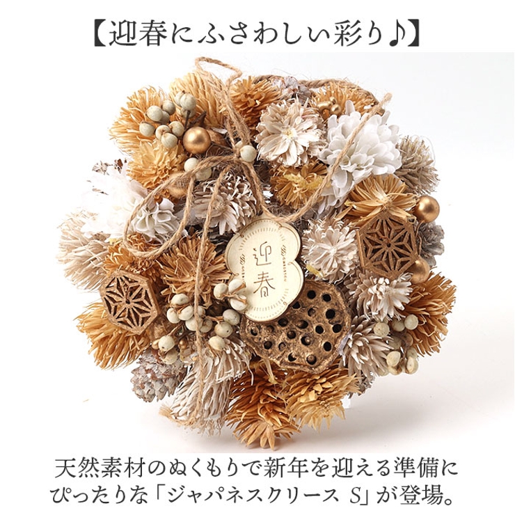 ジャパネスクリース S | BACKYARD FAMILY | 詳細画像2