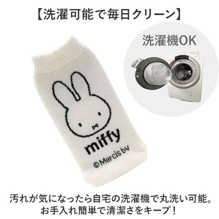 DB BOTOCO | BACKYARD FAMILY | 詳細画像7 