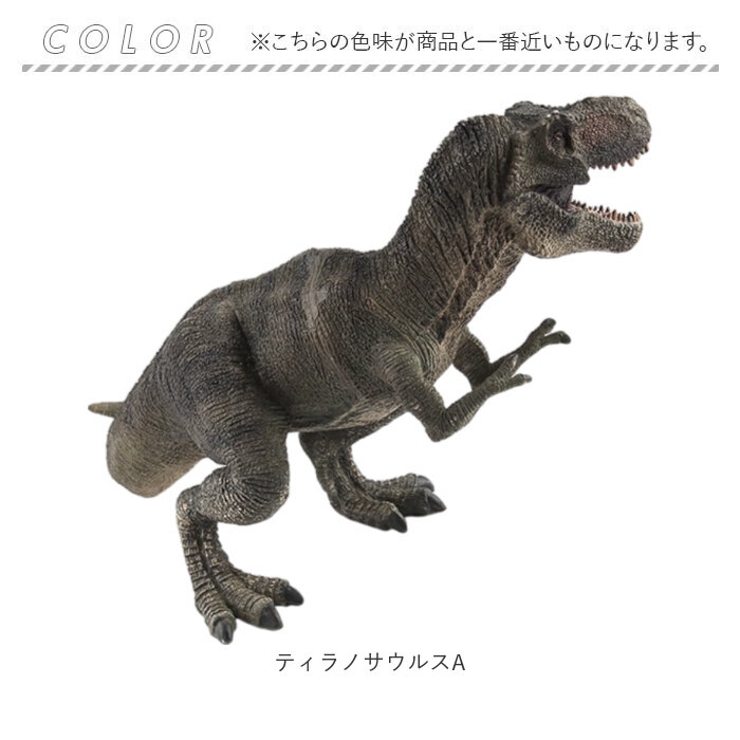 恐竜 フィギュア リアル 大型 | BACKYARD FAMILY | 詳細画像8 