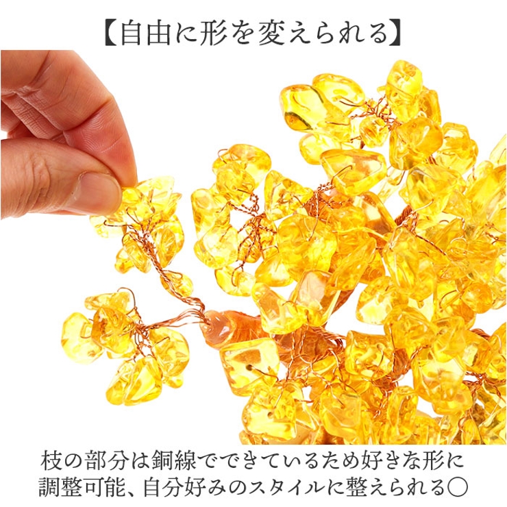 招財樹 風水 置物 | BACKYARD FAMILY | 詳細画像4 