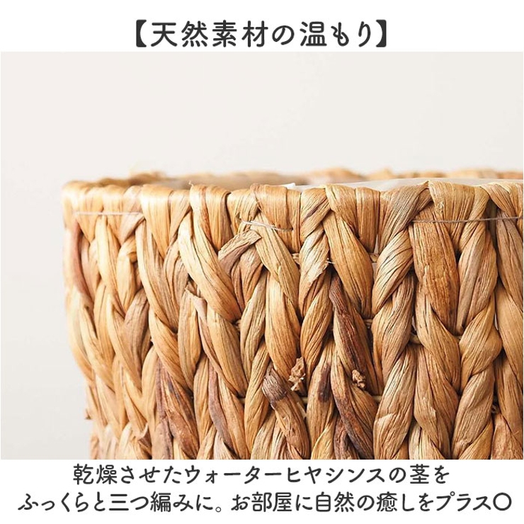 アミアミポット5号 | BACKYARD FAMILY | 詳細画像5 