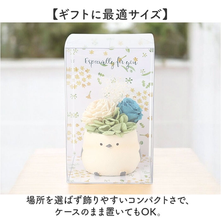 プリザーブドフラワー シマエナガ | BACKYARD FAMILY | 詳細画像5 