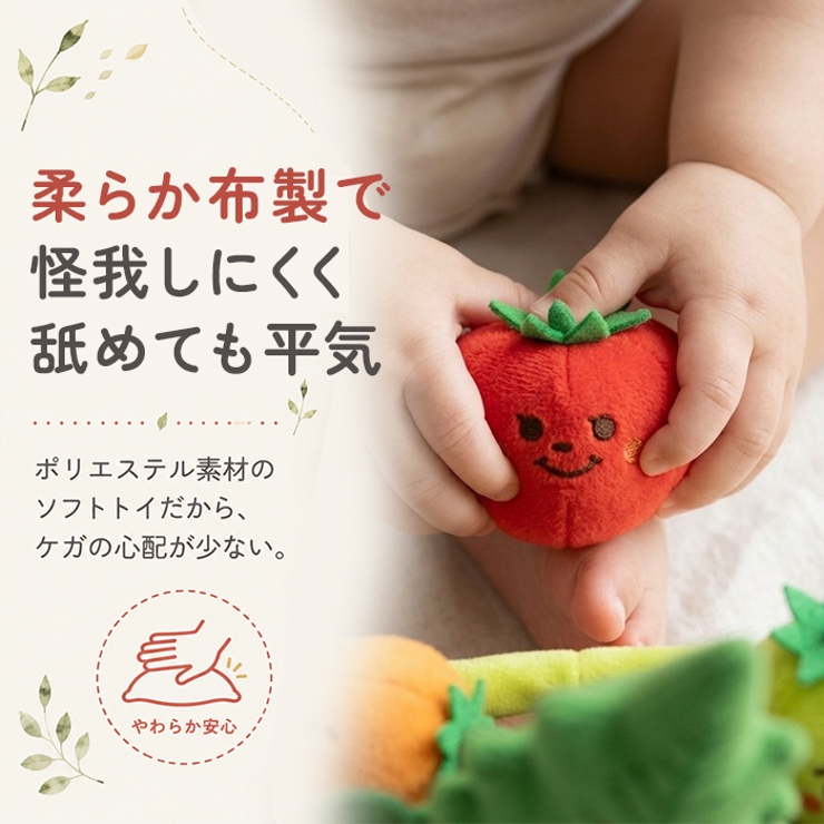 ミニファームシリーズ もぎもぎトマト畑 | BACKYARD FAMILY | 詳細画像6 