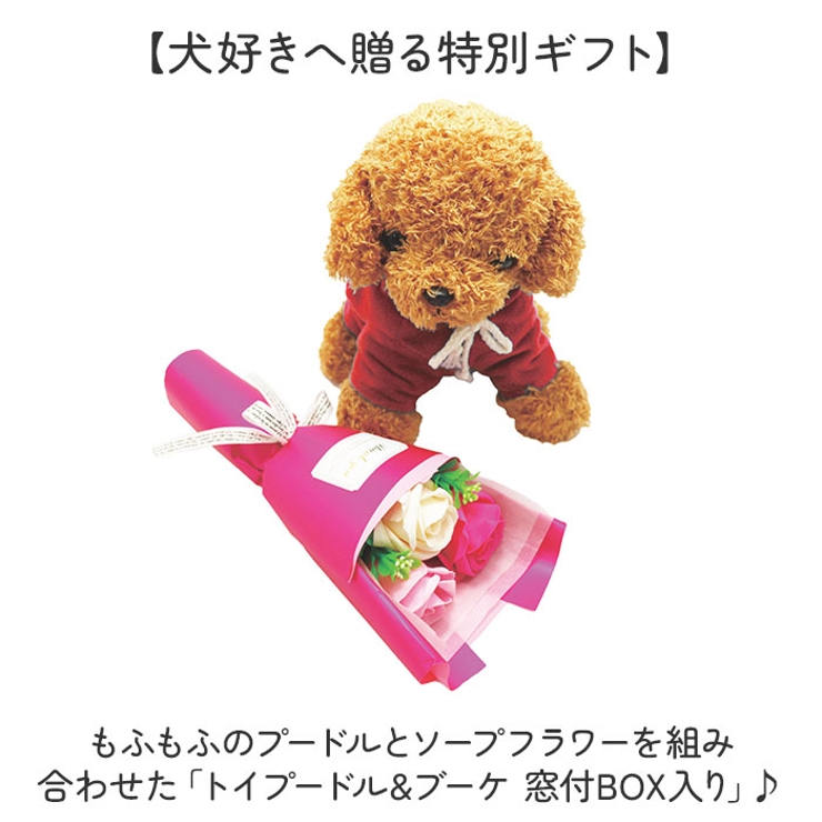 トイプードル&ブーケ 窓付BOX入り | BACKYARD FAMILY | 詳細画像2 