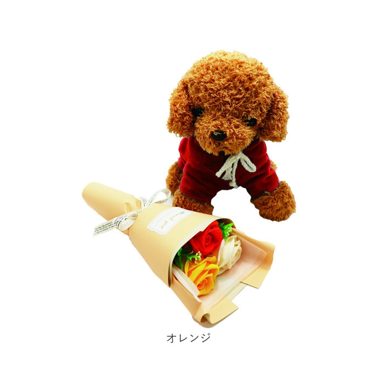 トイプードル&ブーケ 窓付BOX入り | BACKYARD FAMILY | 詳細画像14 