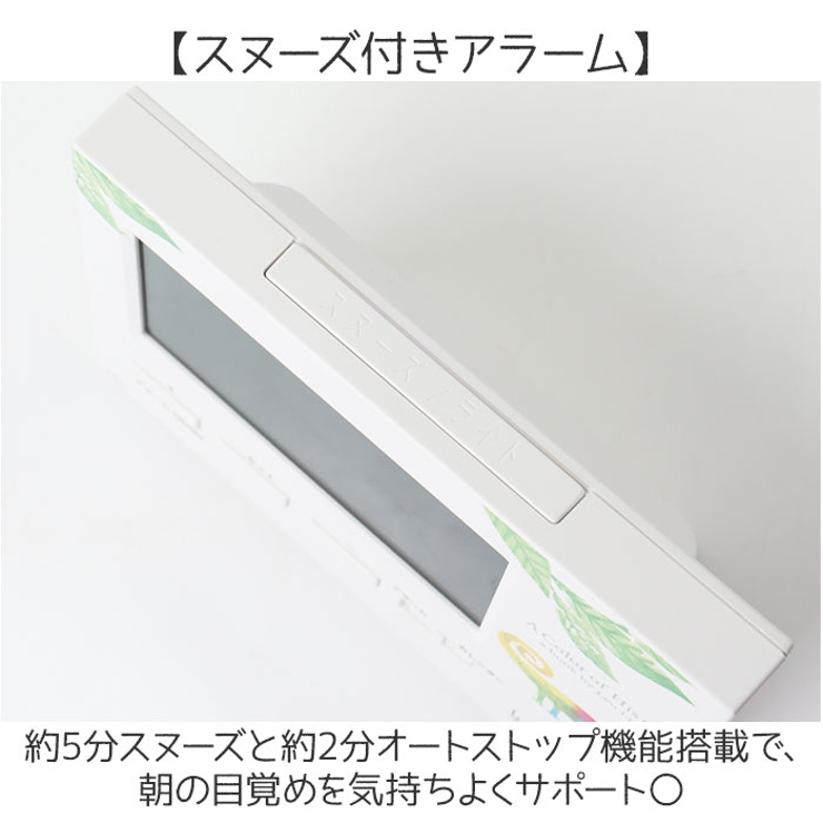 キャラクター 電波デジタルクロック | BACKYARD FAMILY | 詳細画像5 