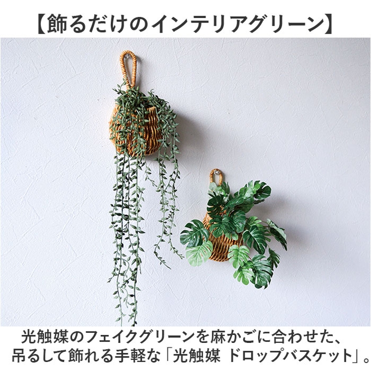 光触媒 ドロップバスケット | BACKYARD FAMILY | 詳細画像2 