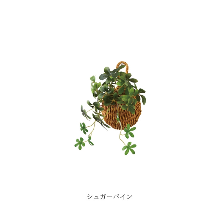 光触媒 ドロップバスケット | BACKYARD FAMILY | 詳細画像11 