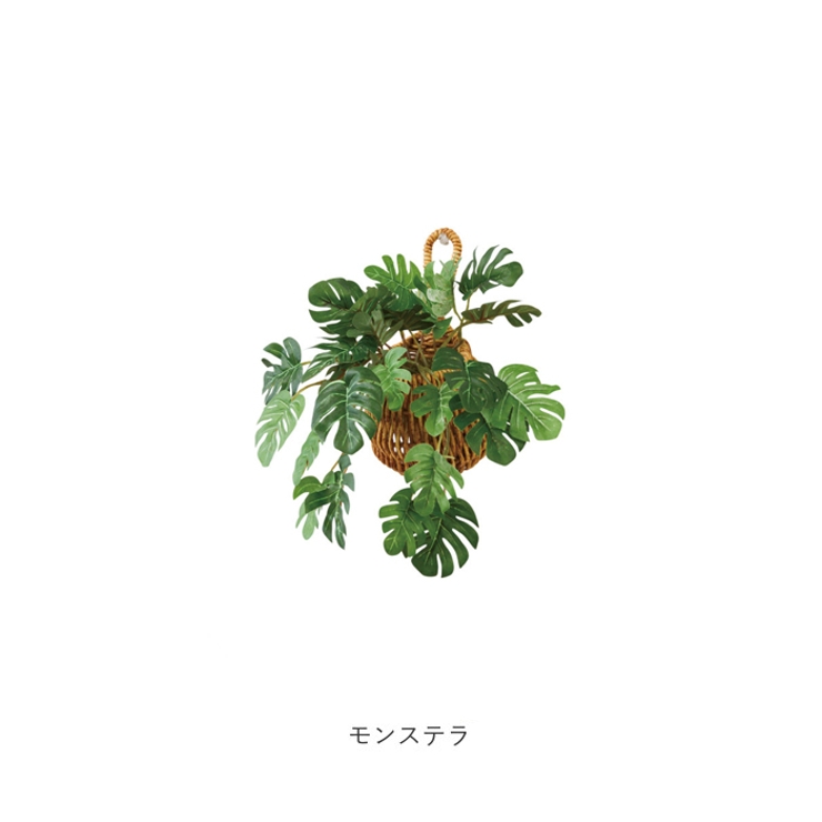 光触媒 ドロップバスケット | BACKYARD FAMILY | 詳細画像12 