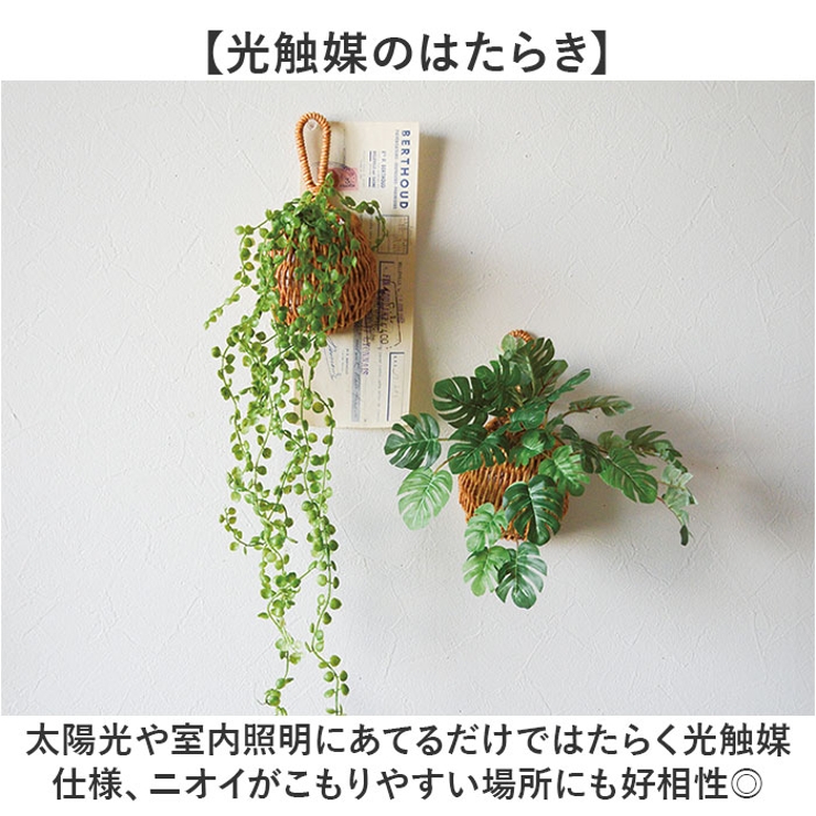 光触媒 ドロップバスケット | BACKYARD FAMILY | 詳細画像3 