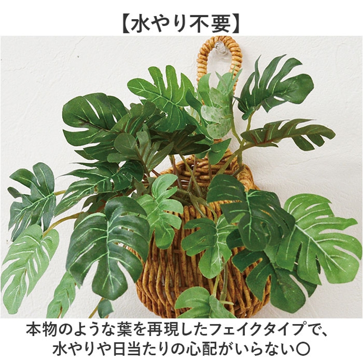 光触媒 ドロップバスケット | BACKYARD FAMILY | 詳細画像4 
