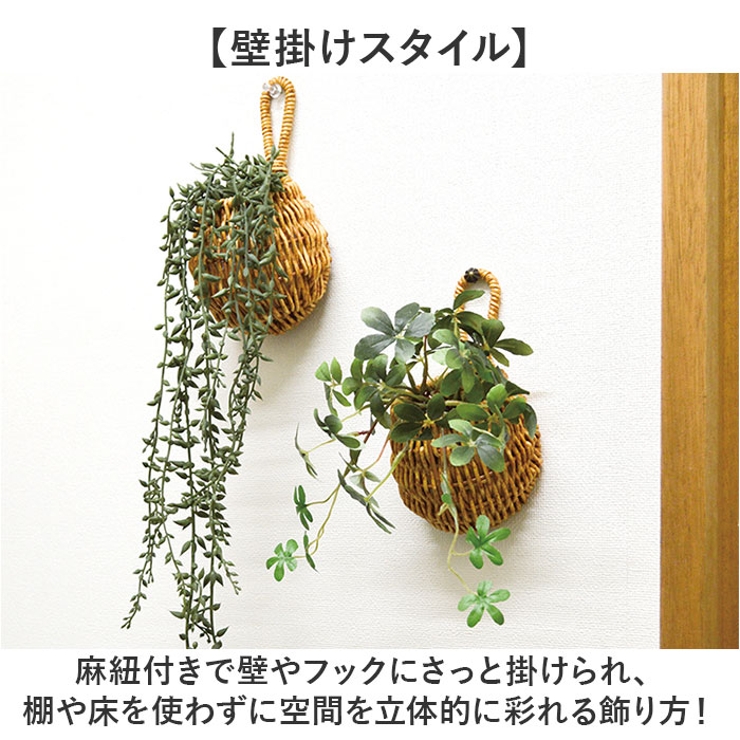光触媒 ドロップバスケット | BACKYARD FAMILY | 詳細画像5 
