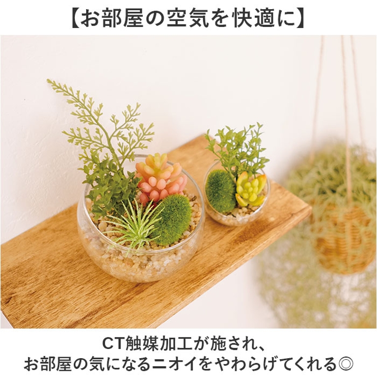 Eclia エクリア 消臭アーティフィシャルグリーン Lサイズ | BACKYARD FAMILY | 詳細画像3 