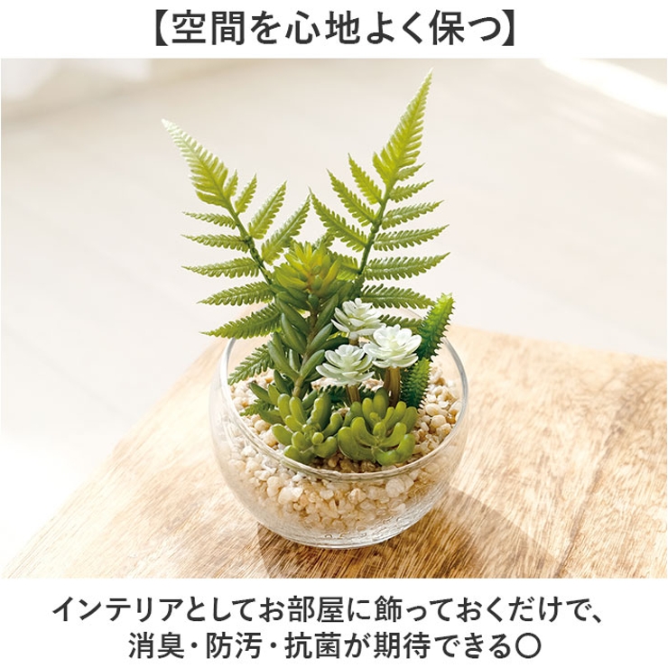 Eclia エクリア 消臭アーティフィシャルグリーン Lサイズ | BACKYARD FAMILY | 詳細画像4 