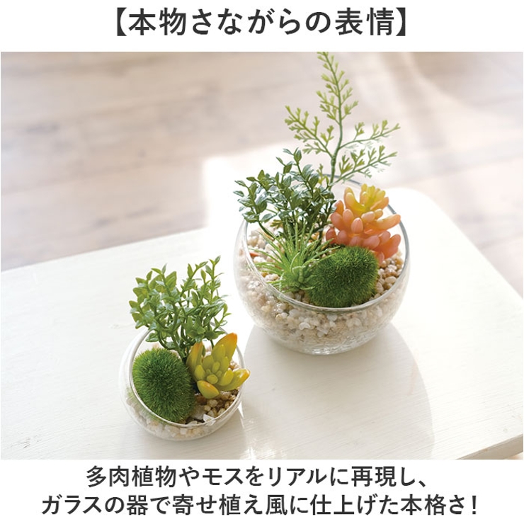 Eclia エクリア 消臭アーティフィシャルグリーン Lサイズ | BACKYARD FAMILY | 詳細画像6 