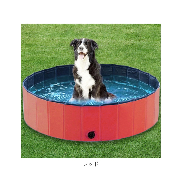 ペット