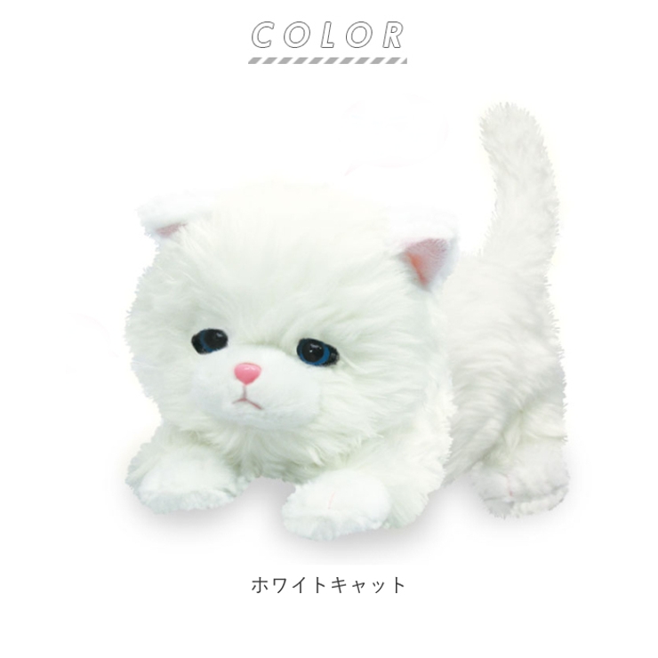 ねむねむにゃんこ ブランちゃん[品番：BCYW0010807]｜BACKYARD FAMILY