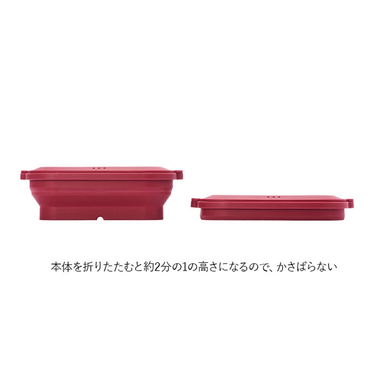 シリコンスチーマー