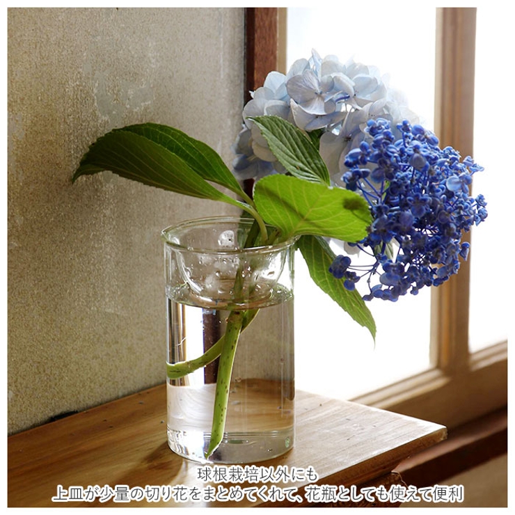 BULB VASE 水栽培ガラスベース ショート[品番：BCYW0012365]｜BACKYARD