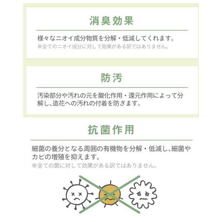 サキュレントリフレリウム 消臭アーティフィシャルグリーン | BACKYARD FAMILY | 詳細画像3 