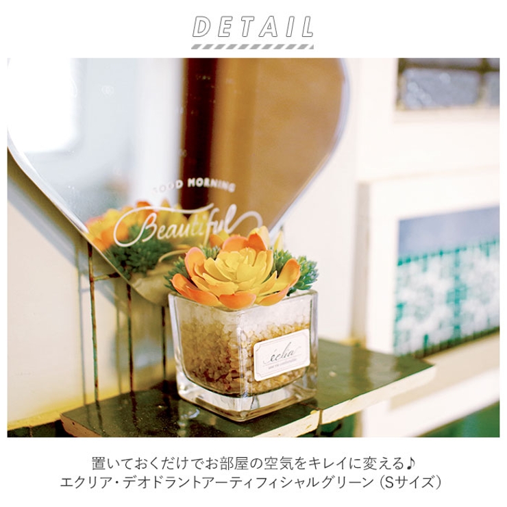 エクリア 消臭アーティフィシャルグリーン S | BACKYARD FAMILY | 詳細画像2 