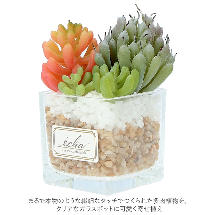 エクリア 消臭アーティフィシャルグリーン S | BACKYARD FAMILY | 詳細画像15 