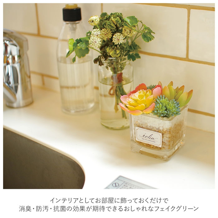 エクリア 消臭アーティフィシャルグリーン S | BACKYARD FAMILY | 詳細画像3 