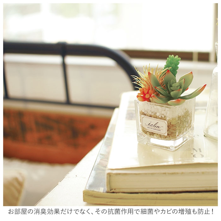 エクリア 消臭アーティフィシャルグリーン S | BACKYARD FAMILY | 詳細画像4 