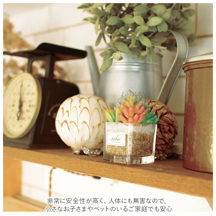 エクリア 消臭アーティフィシャルグリーン S | BACKYARD FAMILY | 詳細画像5 