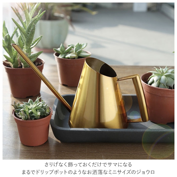 ミニじょうろ おしゃれ ysh400[品番：BCYW0013021]｜BACKYARD FAMILY