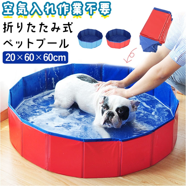 【色: イルカ】プール 折りたたみ 空気入れ不要 子供たちを笑顔にするプール 犬