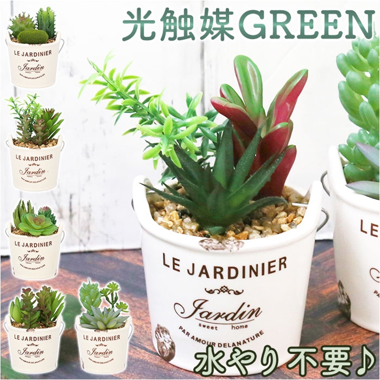 光触媒 バケツ | BACKYARD FAMILY | 詳細画像1 