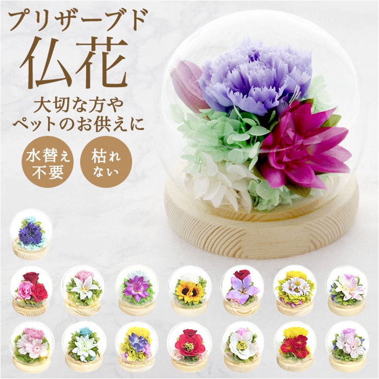 お供え ガラスドーム 四季と暦[品番：BCYW0033547]｜BACKYARD FAMILY