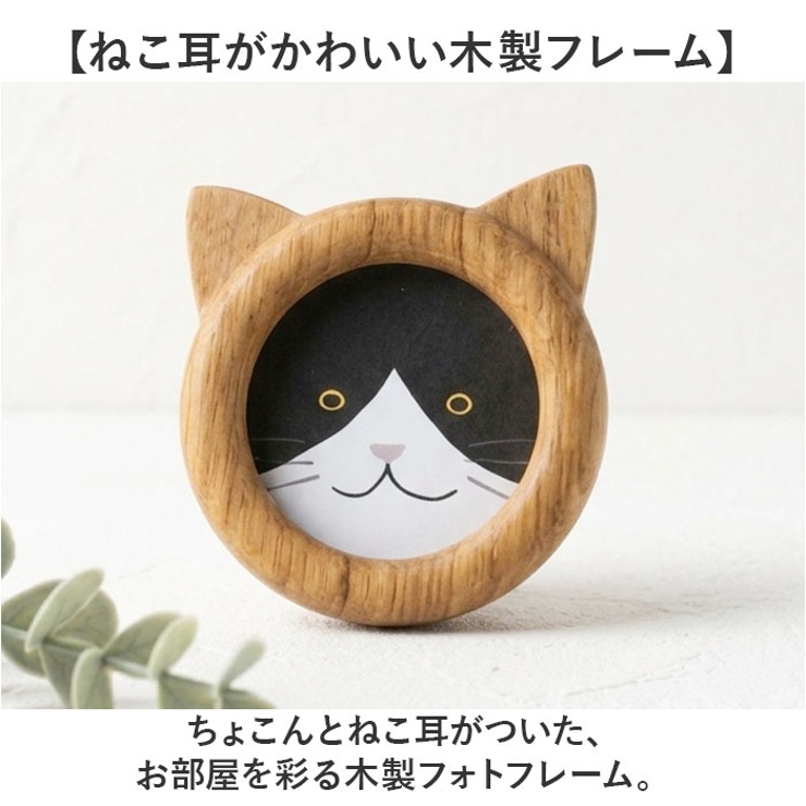 Cat frame S | BACKYARD FAMILY | 詳細画像2 