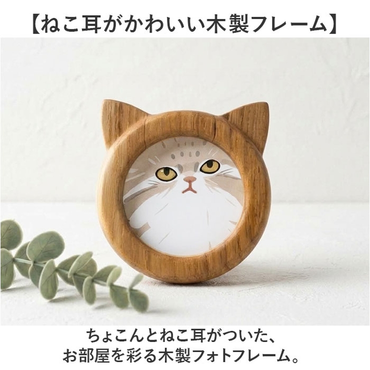 Cat frame M | BACKYARD FAMILY | 詳細画像2 