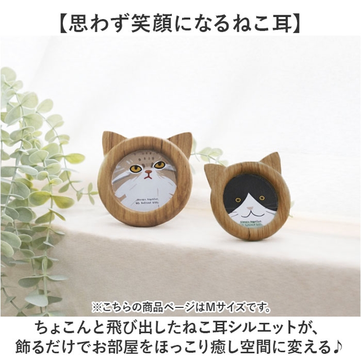 Cat frame M | BACKYARD FAMILY | 詳細画像3 