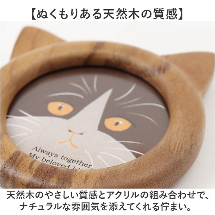 Cat frame M | BACKYARD FAMILY | 詳細画像5 