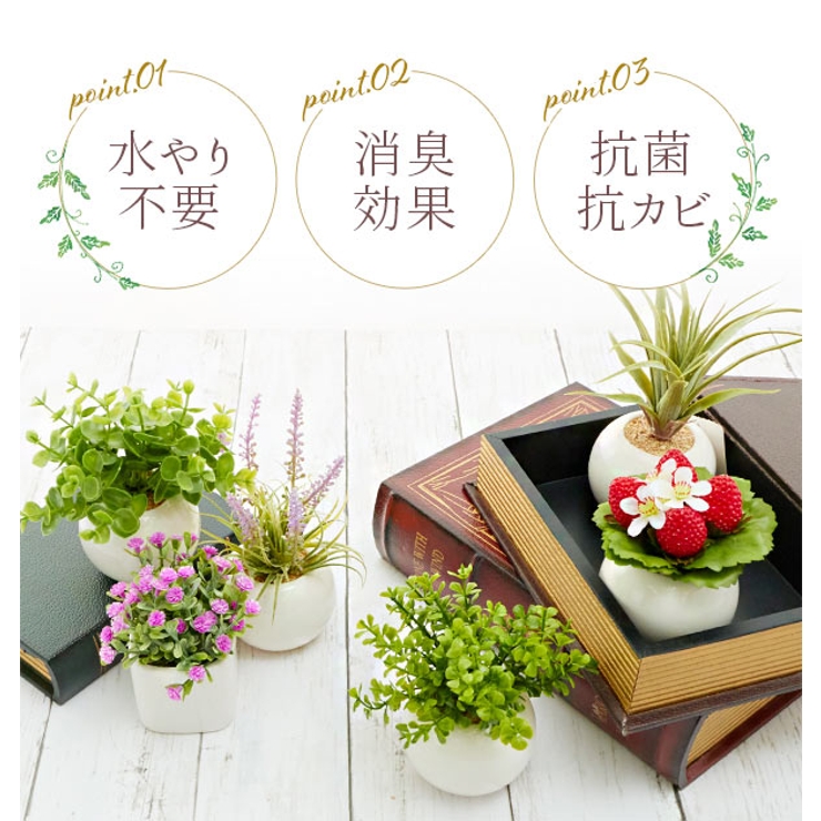 光触媒 インテリアグリーン ラウンドポット キューブポット | BACKYARD FAMILY | 詳細画像2 