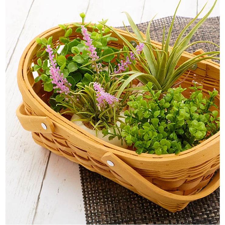 光触媒 インテリアグリーン ラウンドポット キューブポット | BACKYARD FAMILY | 詳細画像3 