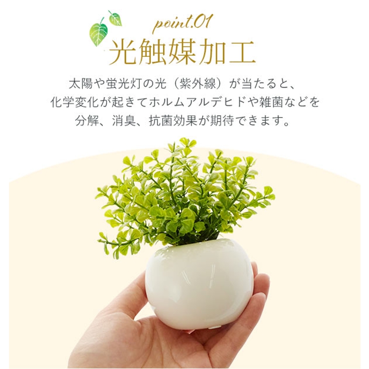 光触媒 インテリアグリーン ラウンドポット キューブポット | BACKYARD FAMILY | 詳細画像4 