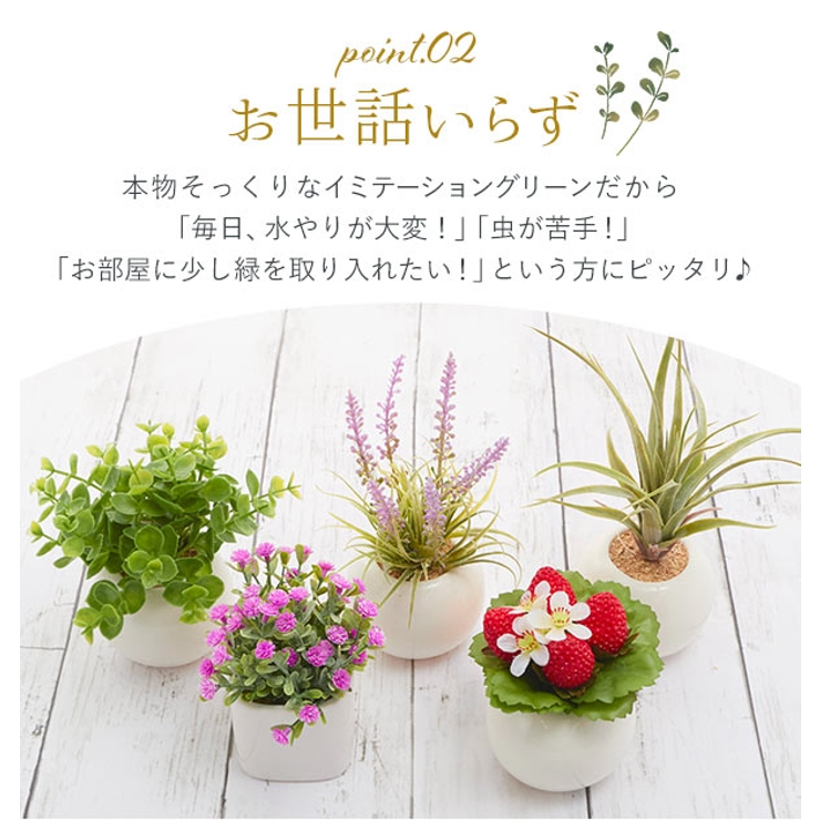 光触媒 インテリアグリーン ラウンドポット キューブポット | BACKYARD FAMILY | 詳細画像5 