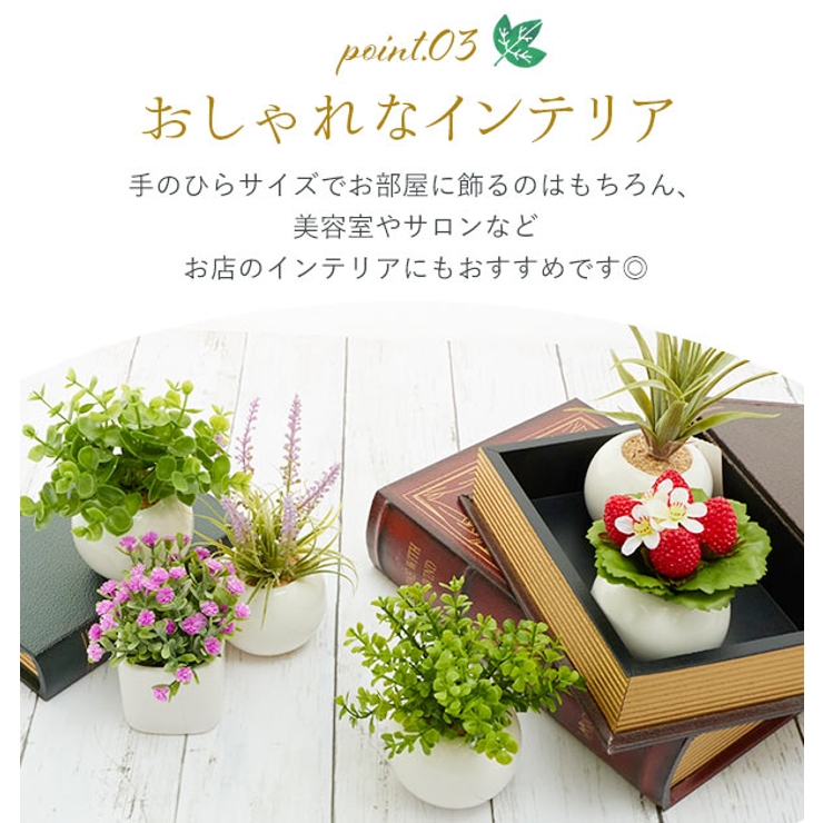 光触媒 インテリアグリーン ラウンドポット キューブポット | BACKYARD FAMILY | 詳細画像6 