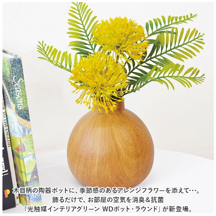 光触媒 インテリアグリーン WDポット ラウンド | BACKYARD FAMILY | 詳細画像2 