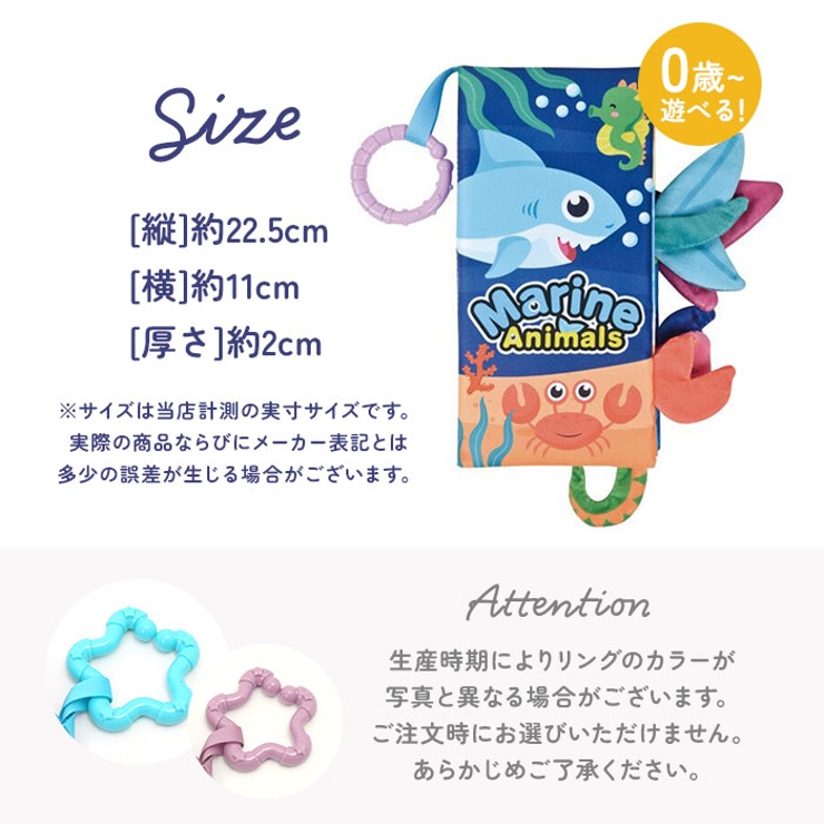 ウィキッド 大きな仕掛け絵本 YVAF しかけ絵本 WORLDLIBRARY