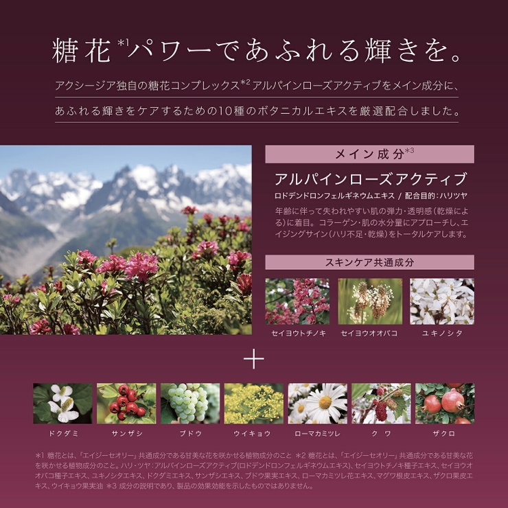 エイジーセオリー モイスチャライジングローション 100ml | BLANC LAPIN | 詳細画像3 