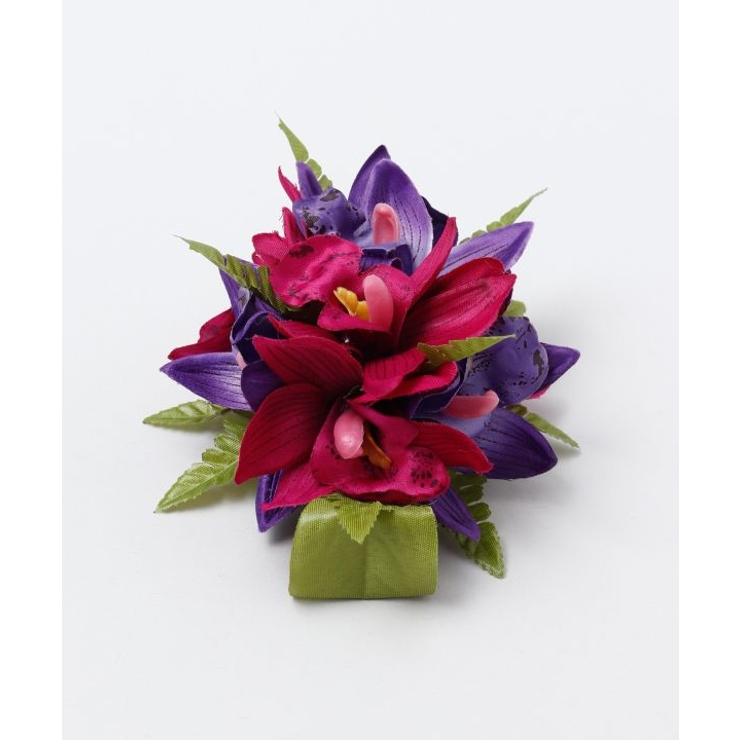 【Maunaloa】ミニシンビファーンクリップ | アミナコレクション  | 詳細画像7 