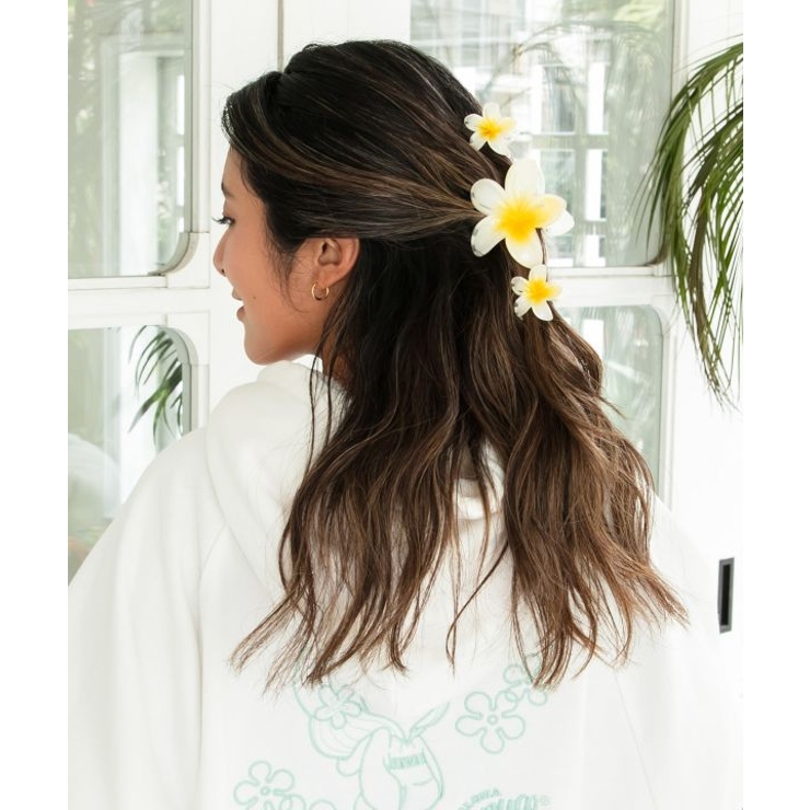 【カヒコ】プルメモエヘアクリップセット | アミナコレクション  | 詳細画像1 