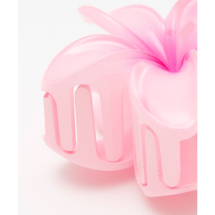 【カヒコ】プルメモエヘアクリップセット | アミナコレクション  | 詳細画像4 